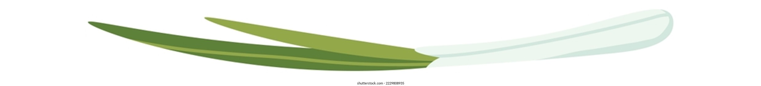 Green onion flat icon Decor element for dishes