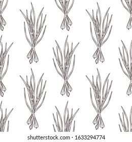 Green onion ink sketch seamless pattern on white background. Monochrome food ingredient backdrop. Natural organic fresh food wallpaper. Vintage hand drawn engraved style. Vector illustration