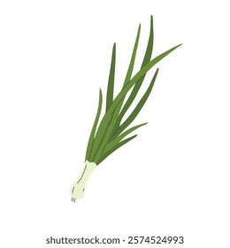 Green onion isolated on white background. Vector illustration in flat style.