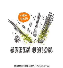 Green onion isolated set. Hand drawn vector illustration with watercolor splash. Can be used for street festival, farmers market, country fair, shop, menu, cafe, restaurant, poster, banner.