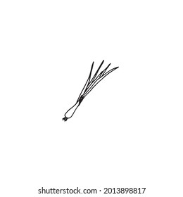 A green onion on a white background drawn in a vector