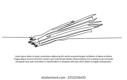 Green onion one continuous line design. Vegetable symbol concept. Decorative elements drawn on a white background.