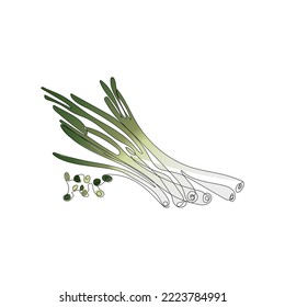 Green onion in one line art style. Abstract fresh food in minimalism design. Single continuous line drawing. Vegan concept design. Hand drawn vector illustration.
