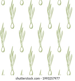 Patrón de cebolla verde, dibujo de líneas