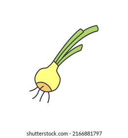 green onion, scallion icon in color, isolated on white background 