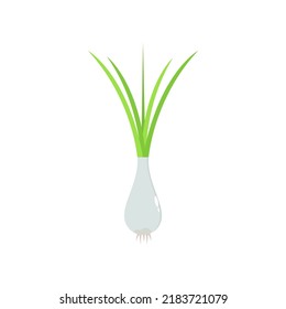 Línea de icono del vector de cebolla verde de color sólido EPS 10. Ilustración vegetariana plana. Producto del mercado agrícola. Concepto de agricultura. Alimentos orgánicos saludables frescos... Concepto de cultivo para vegetariano. Aislado sobre blanco