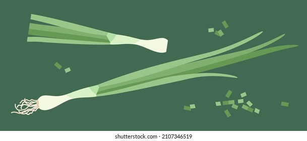 Green onion. Vector illustration isolated on a dark green background.