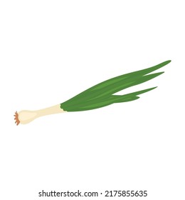 Green onion vector illustration on a white background