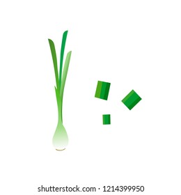 Green onion vector. Pizza ingredients vector design