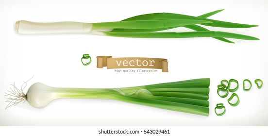 Green onion. Vegetable 3d vector icon