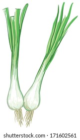 Green Onions