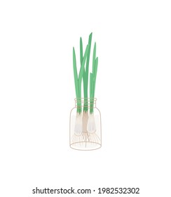 Crecen cebollas verdes en un frasco, icono vectorial aislado. Sembramientos con balcón propio, hierbas cultivadas en el hogar, huerto. Madera de elemento de jardinería, vegetación orgánica en crecimiento.