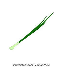 green onions on white background. Vector illustration
