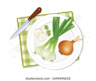 ilustración vectorial de cebollas verdes y cebollas amarillas 