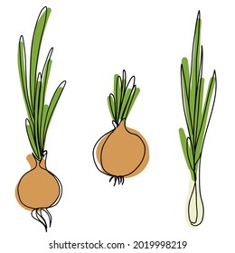 Green onions set are drawn in one line. Agriculture. Vegetarian food. Drawing in the style of minimalism.