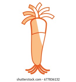 Green onions vegetable