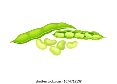 1,789 Kidney shaped seeds Images, Stock Photos & Vectors | Shutterstock