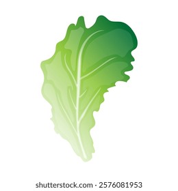 Green oragnic vegetable leaf cartoon illustration 