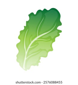 Green oragnic vegetable leaf cartoon illustration 