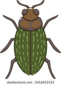 Green and Orange Beetle Illustration