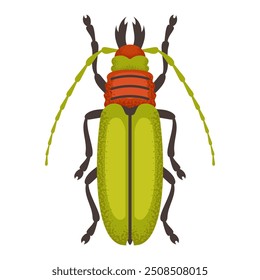 Besouro verde e laranja. Inseto colorido. Espécie de inseto da natureza e biodiversidade. Ilustração plana do vetor do besouro.