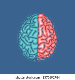 Green and orange hemispheres human brain in top view flat icon drawing illustration isolated on deep blue background