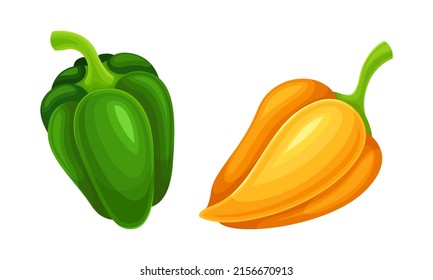 Green and orange pepper fresh organic healthy vegetable set vector illustration