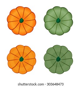 Green and orange pumpkin Isolated on White. Flat Design Style. Top view.