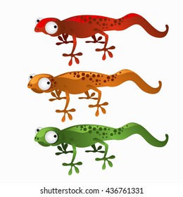 Green, orange and red newts. Vector.