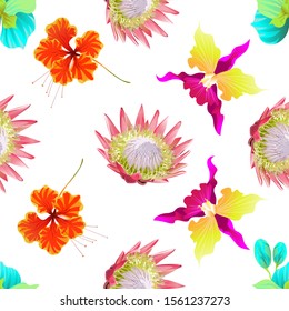 Green Orchid. Pink Protea. Orange Rose Mallow. Pink Orchid. Vector illustration. Seamless background pattern. Floral botanical flower. Wild leaf wildflower isolated. Exotic tropical hawaiian jungle.