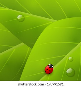 Green organic background for Your design