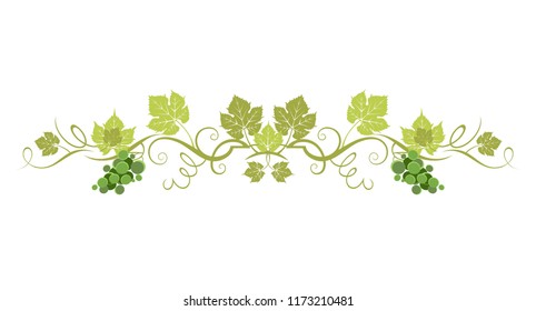 Green organic border