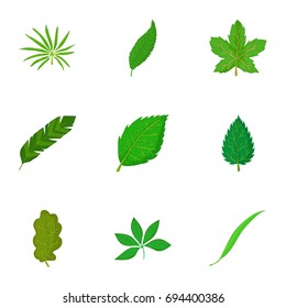 Green organic leaf icons set. Cartoon set of 9 green organic leaf vector icons for web isolated on white background