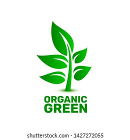 Green organic leaf of a tree, icon on a white background. Vector illustration