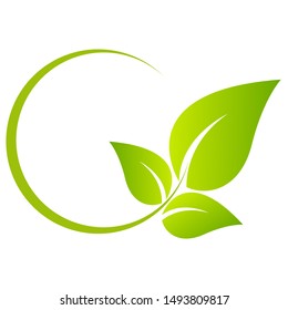 Green organic leaf of a tree, icon on a white background. Vector illustration