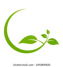 Green organic leaf of a tree, icon on a white background. Vector illustration