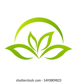Green organic leaf of a tree, icon on a white background. Vector illustration