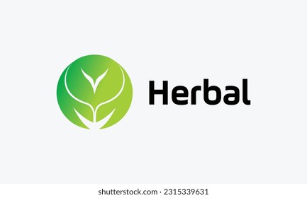 Green organic meal concept for healthy and vegetarian food symbol