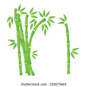 green oriental chinese bamboo illustration vector