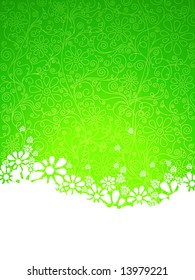 Green ornate background, vector