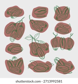 Conjunto de iconos de fruta de fecha de contorno verde con fondos redondeados orgánicos. Ilustración vectorial fresca y amigable perfecta para el Ramadán, temas de comida saludable y Diseño gráfico moderno