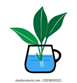 Green outline hand drawing vector illustration of a decorative plant Dieffenbachia in a transparent mug with water isolated on a white background