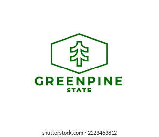 green outline pine tree badge logo design template