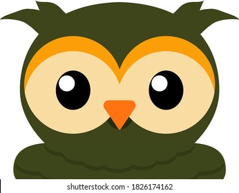Green Owl Head Vector Illustration with big black eyes