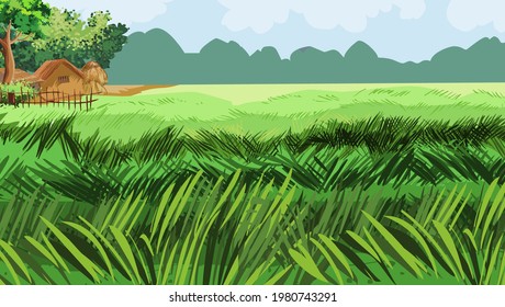 Green paddy fields - illustration