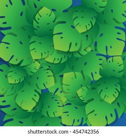 Green palem leaves abstract background, vector