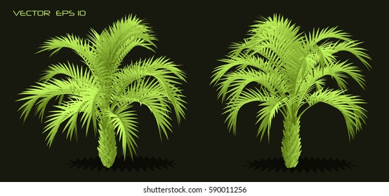 Green palm
