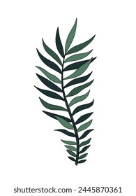 A green palm branch. Vector illustration in a flat style.