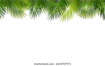 Rama verde de la palma con el fondo blanco con la malla del degradado, Ilustración vectorial