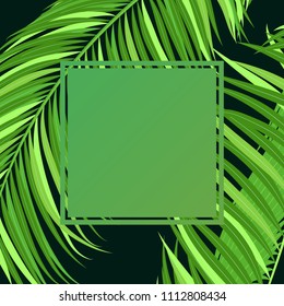 Green Palm Branches in Various Forms. Tropic Foliage. Illustration of Jungle Plants. Vector Palm Leaves. Floral Elements Set. Detailed Palm Leaves for Pattern, Wallpaper, Print or Your Creative Design